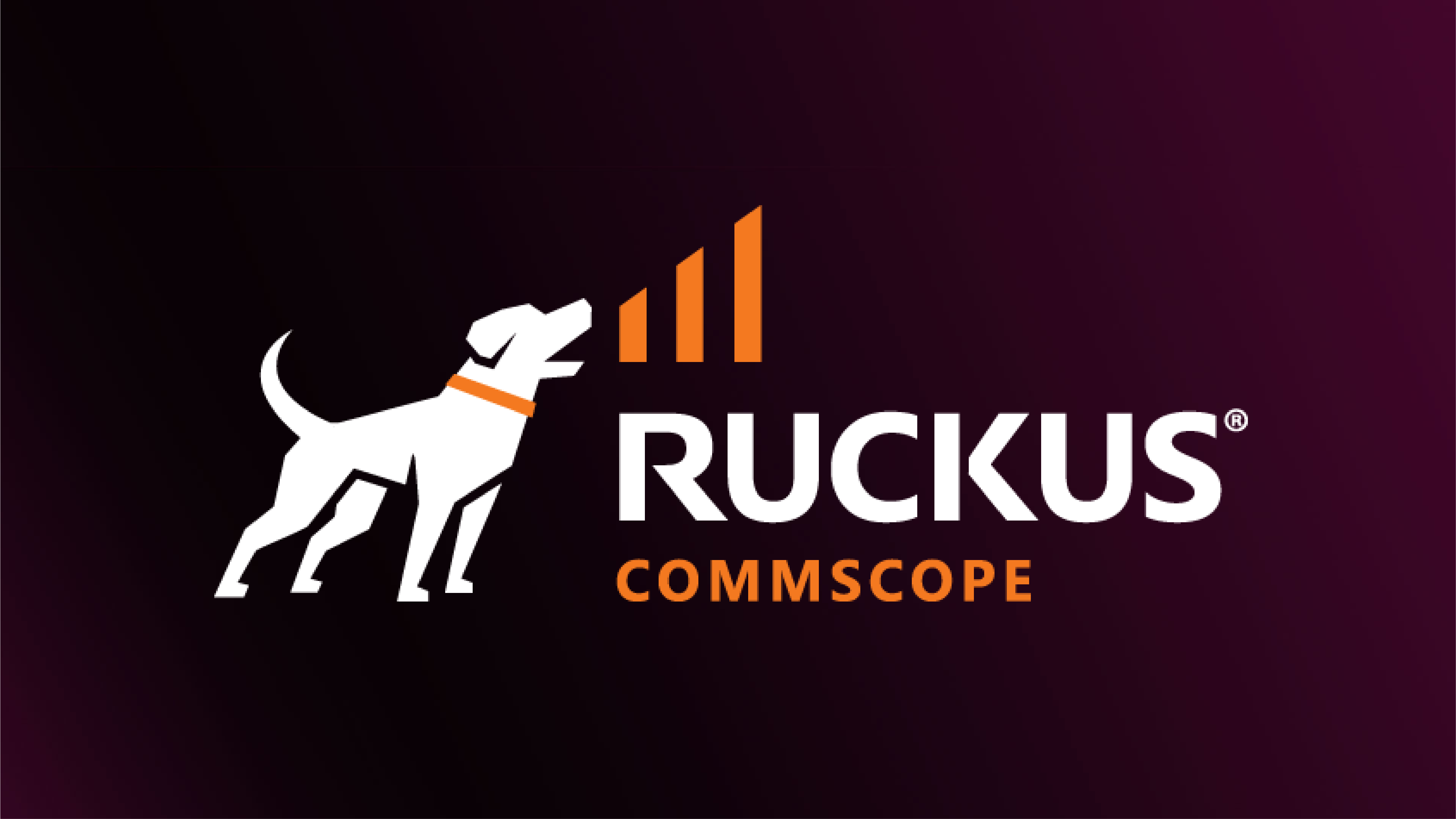 ruckus background-min